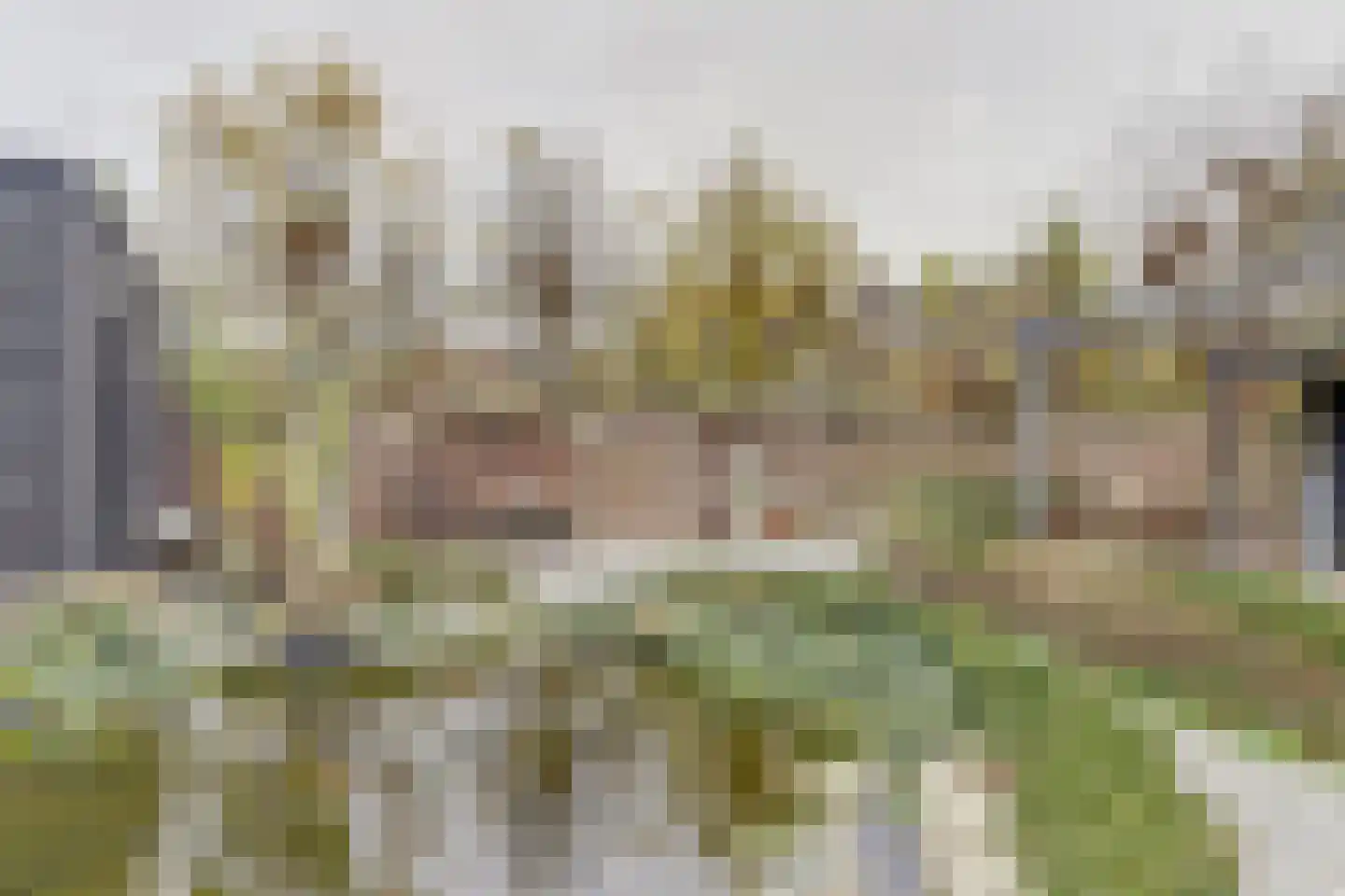 Achterhoeksestraat 2 Rucphen thumbnail 42