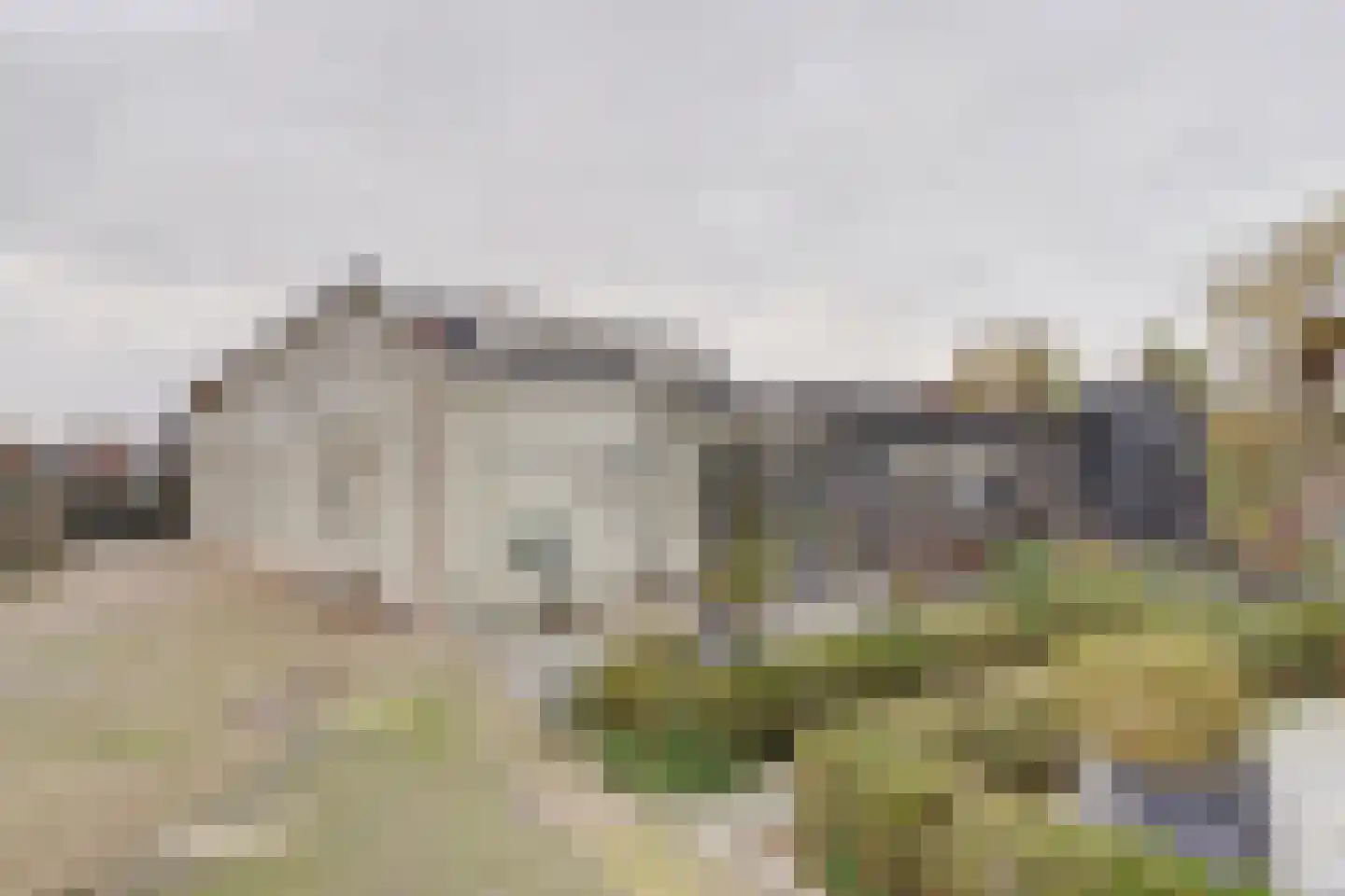 Achterhoeksestraat 2 Rucphen thumbnail 46