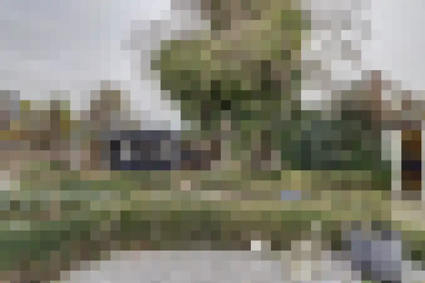 Achterhoeksestraat 2 Rucphen thumbnail 47