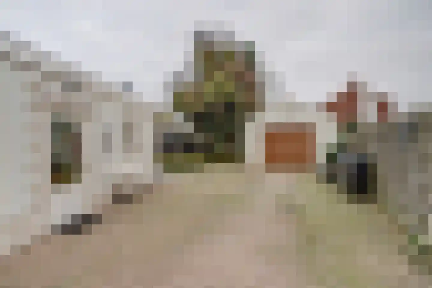 Achterhoeksestraat 2 Rucphen thumbnail 8