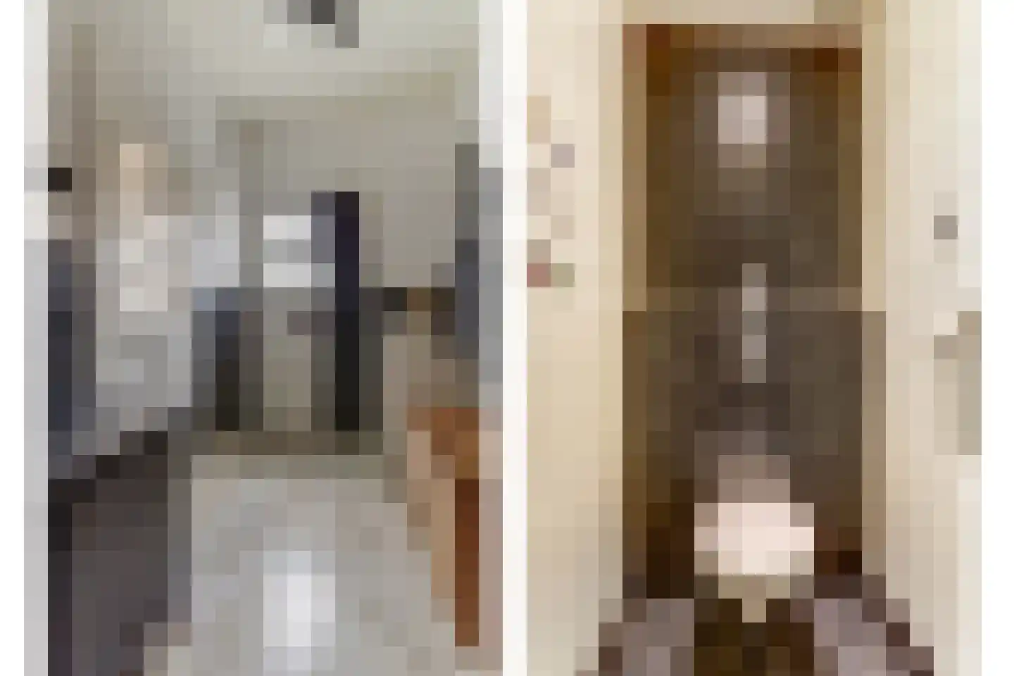 Achterhoeksestraat 2 Rucphen thumbnail 9
