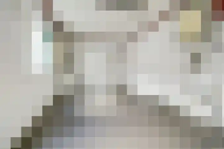 Achterhoeksestraat 37 Rucphen thumbnail 14