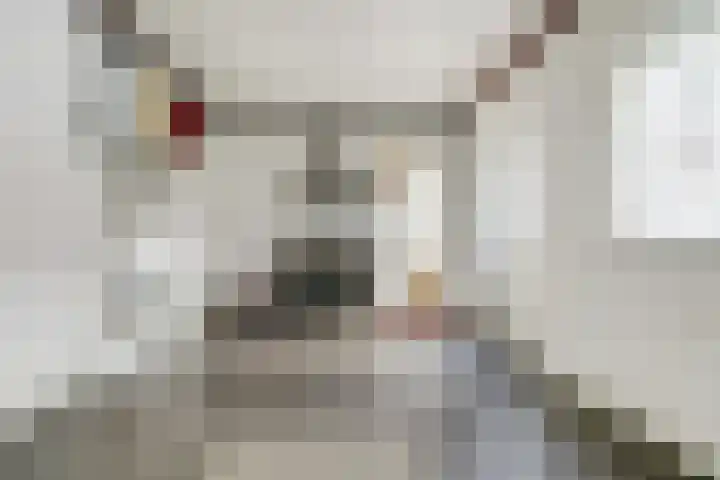 Achterhoeksestraat 37 Rucphen thumbnail 15