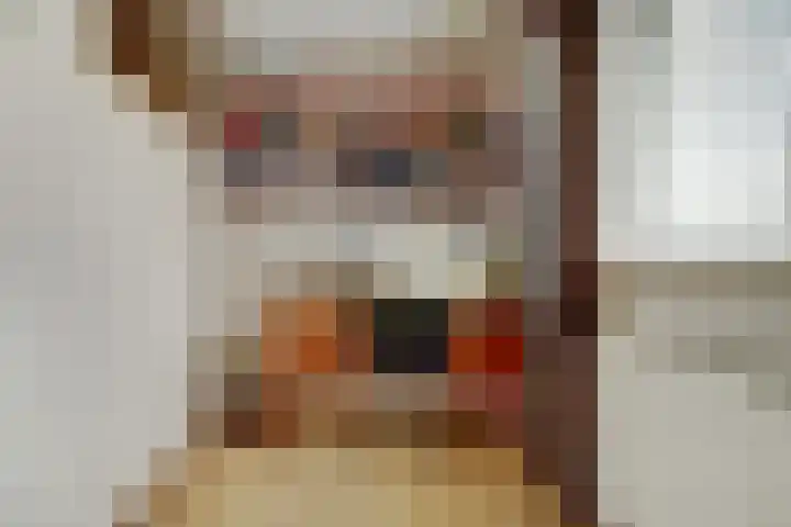 Achterhoeksestraat 37 Rucphen thumbnail 17