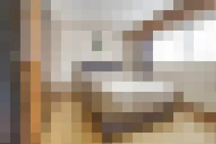 Achterhoeksestraat 37 Rucphen thumbnail 20