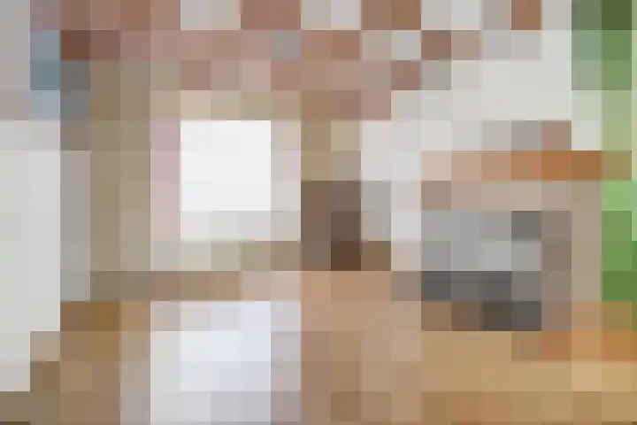 Achterhoeksestraat 37 Rucphen thumbnail 5