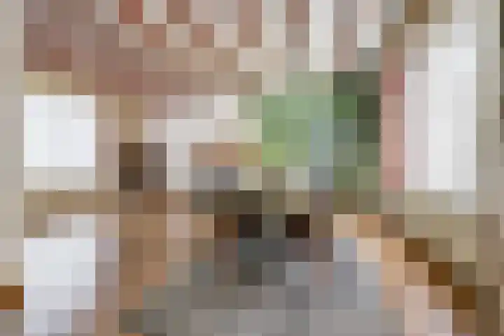 Achterhoeksestraat 37 Rucphen thumbnail 6