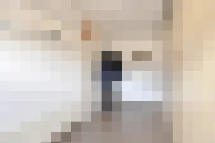 Achterhoeksestraat 7 Rucphen thumbnail 13