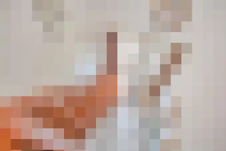 Achterhoeksestraat 7 Rucphen thumbnail 14