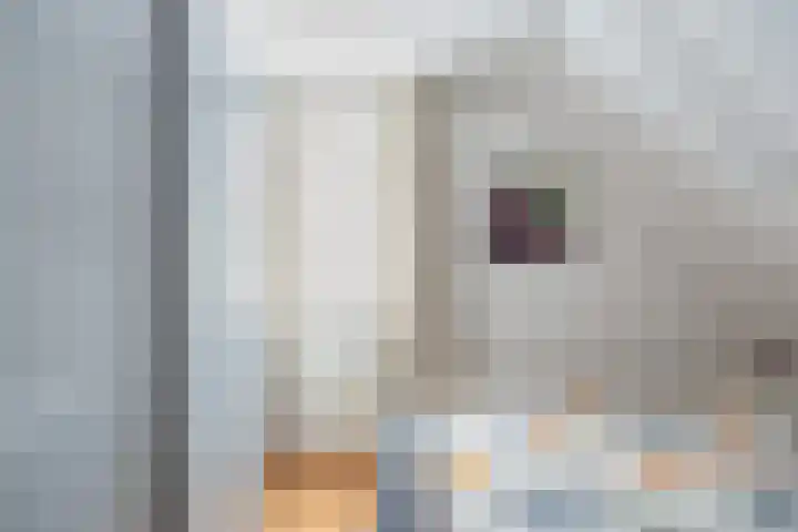 Achterhoeksestraat 7 Rucphen thumbnail 17