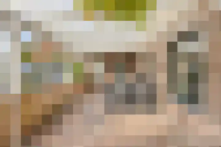 Achterhoeksestraat 7 Rucphen thumbnail 28