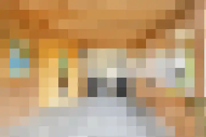 Achterhoeksestraat 7 Rucphen thumbnail 30