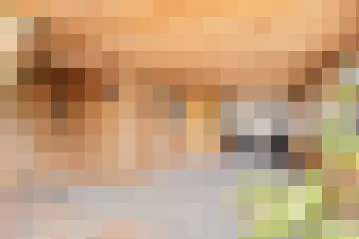 Achterhoeksestraat 7 Rucphen thumbnail 31