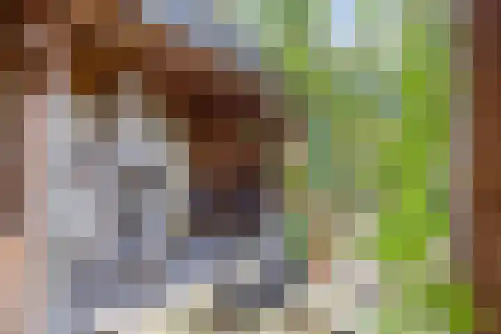 Achterhoeksestraat 7 Rucphen thumbnail 32