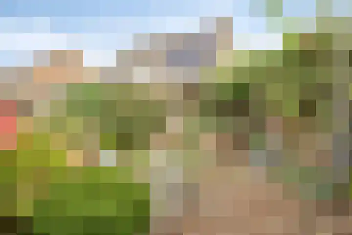 Achterhoeksestraat 7 Rucphen thumbnail 34