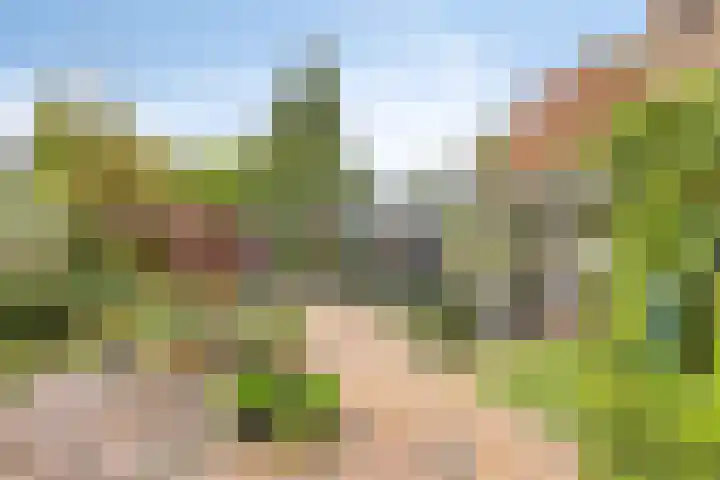 Achterhoeksestraat 7 Rucphen thumbnail 35