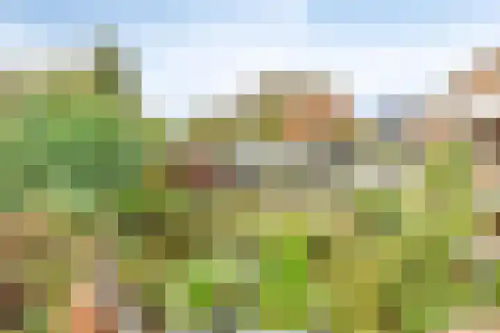 Achterhoeksestraat 7 Rucphen thumbnail 36
