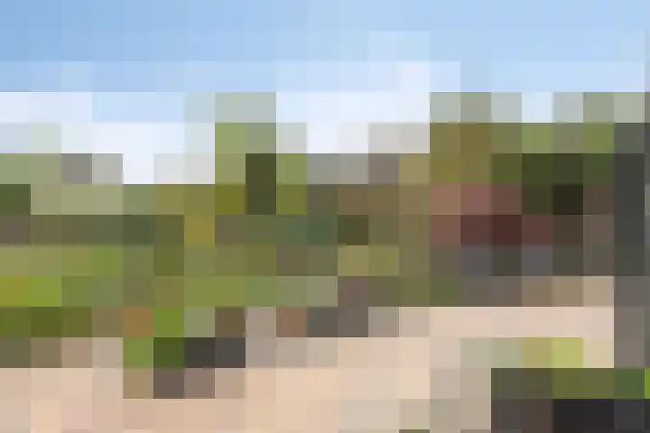 Achterhoeksestraat 7 Rucphen thumbnail 37