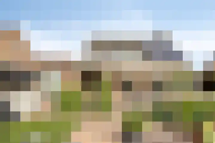 Achterhoeksestraat 7 Rucphen thumbnail 39