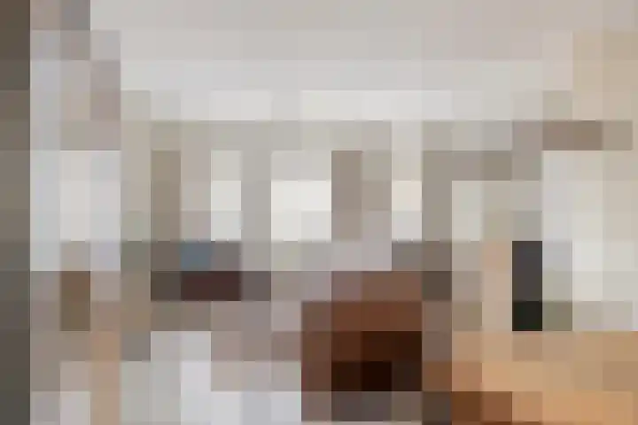 Achterhoeksestraat 7 Rucphen thumbnail 8