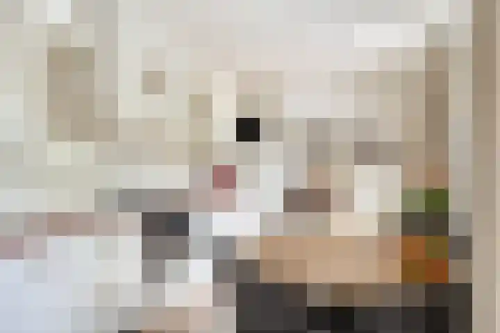 Achterhoeksestraat 7 Rucphen thumbnail 9
