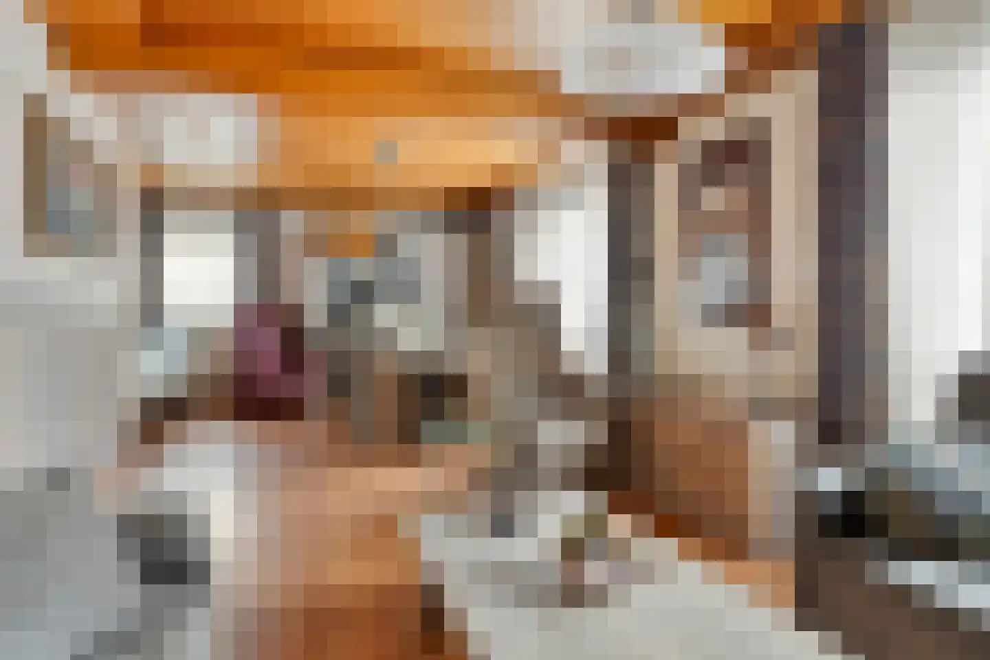 Achterhoeksestraat 70 Rucphen thumbnail 15