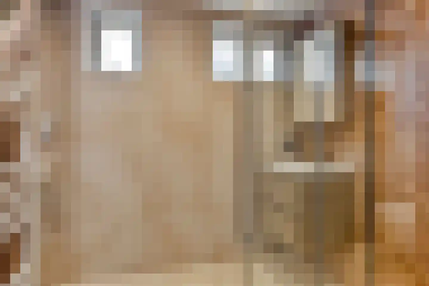 Achterhoeksestraat 70 Rucphen thumbnail 19