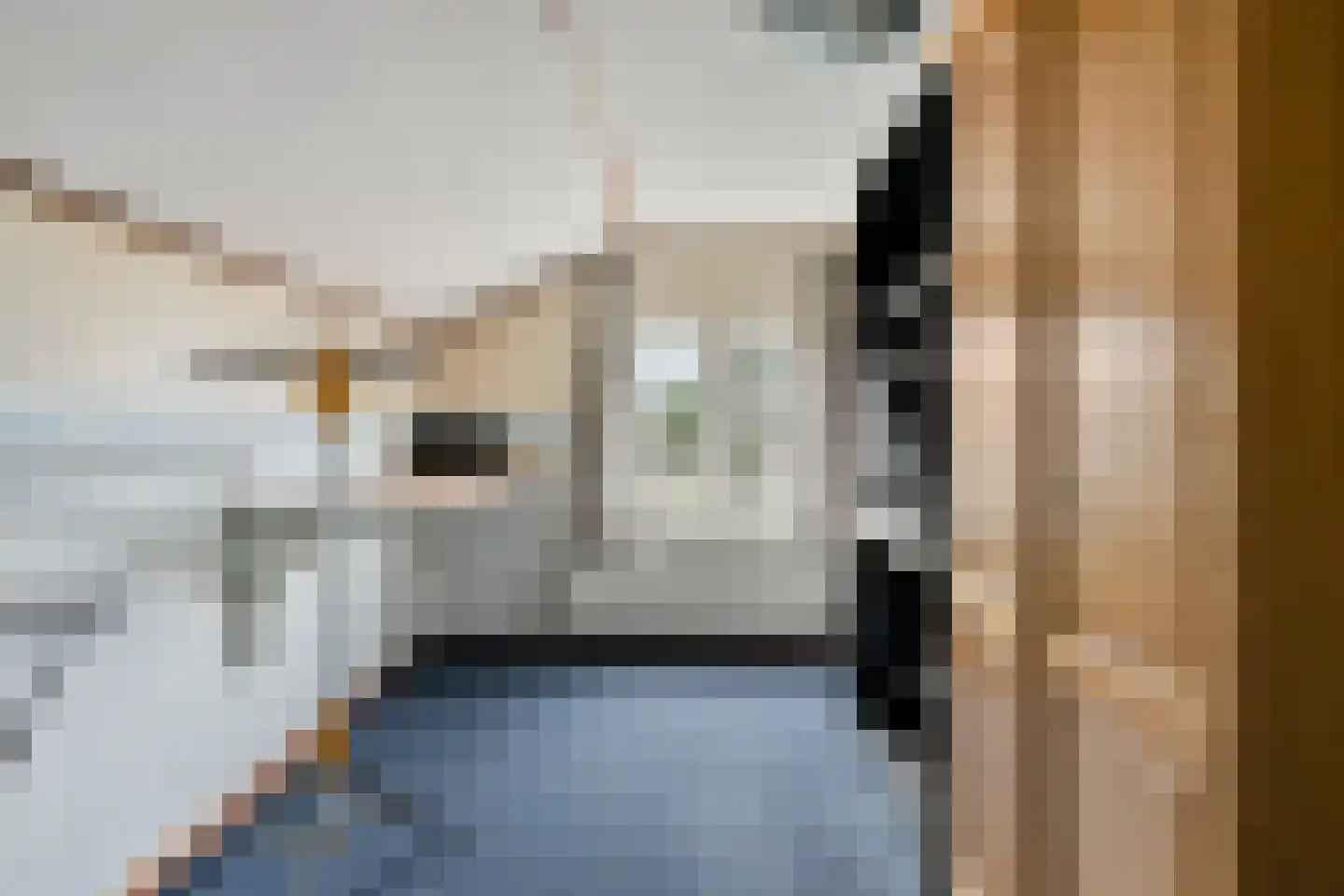 Achterhoeksestraat 70 Rucphen thumbnail 22