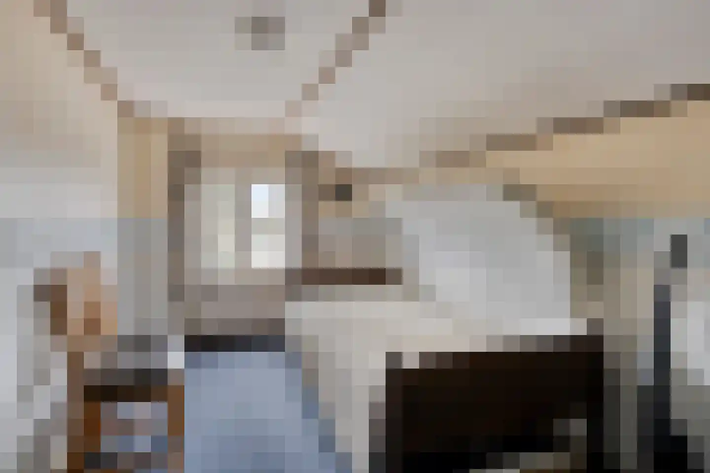 Achterhoeksestraat 70 Rucphen thumbnail 24