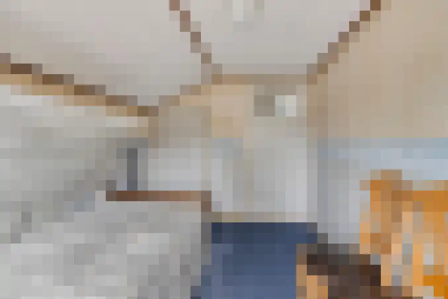 Achterhoeksestraat 70 Rucphen thumbnail 25