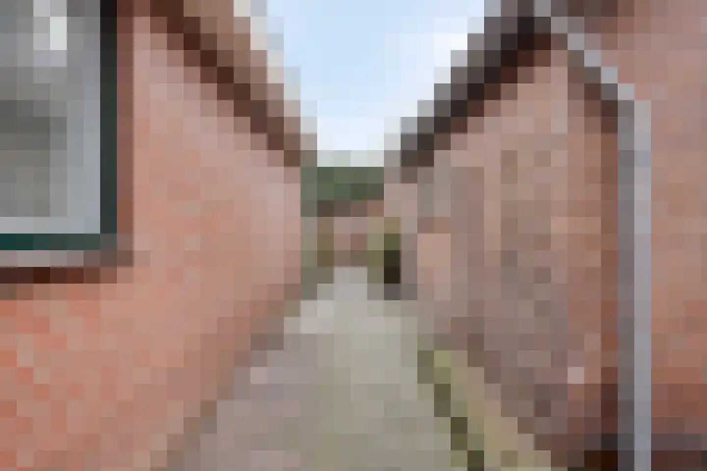 Achterhoeksestraat 70 Rucphen thumbnail 30