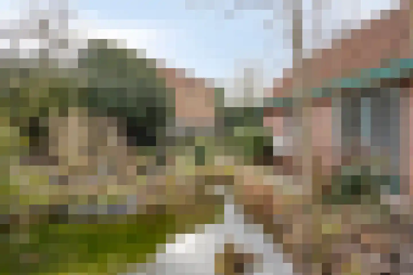 Achterhoeksestraat 70 Rucphen thumbnail 35