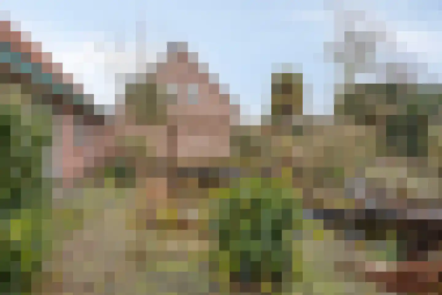 Achterhoeksestraat 70 Rucphen thumbnail 37