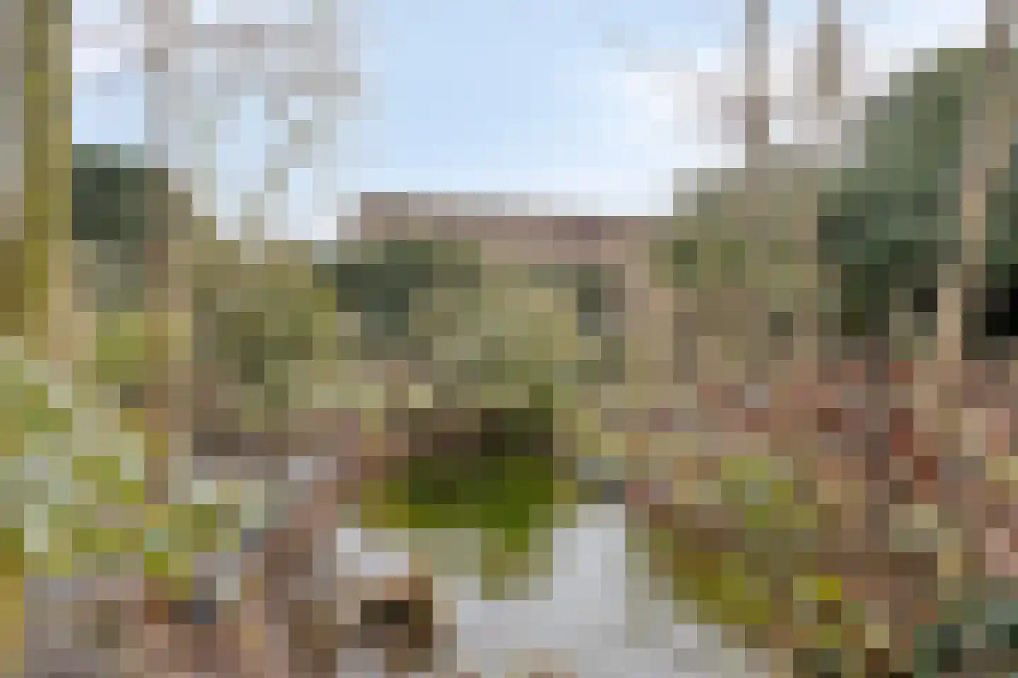 Achterhoeksestraat 70 Rucphen thumbnail 38