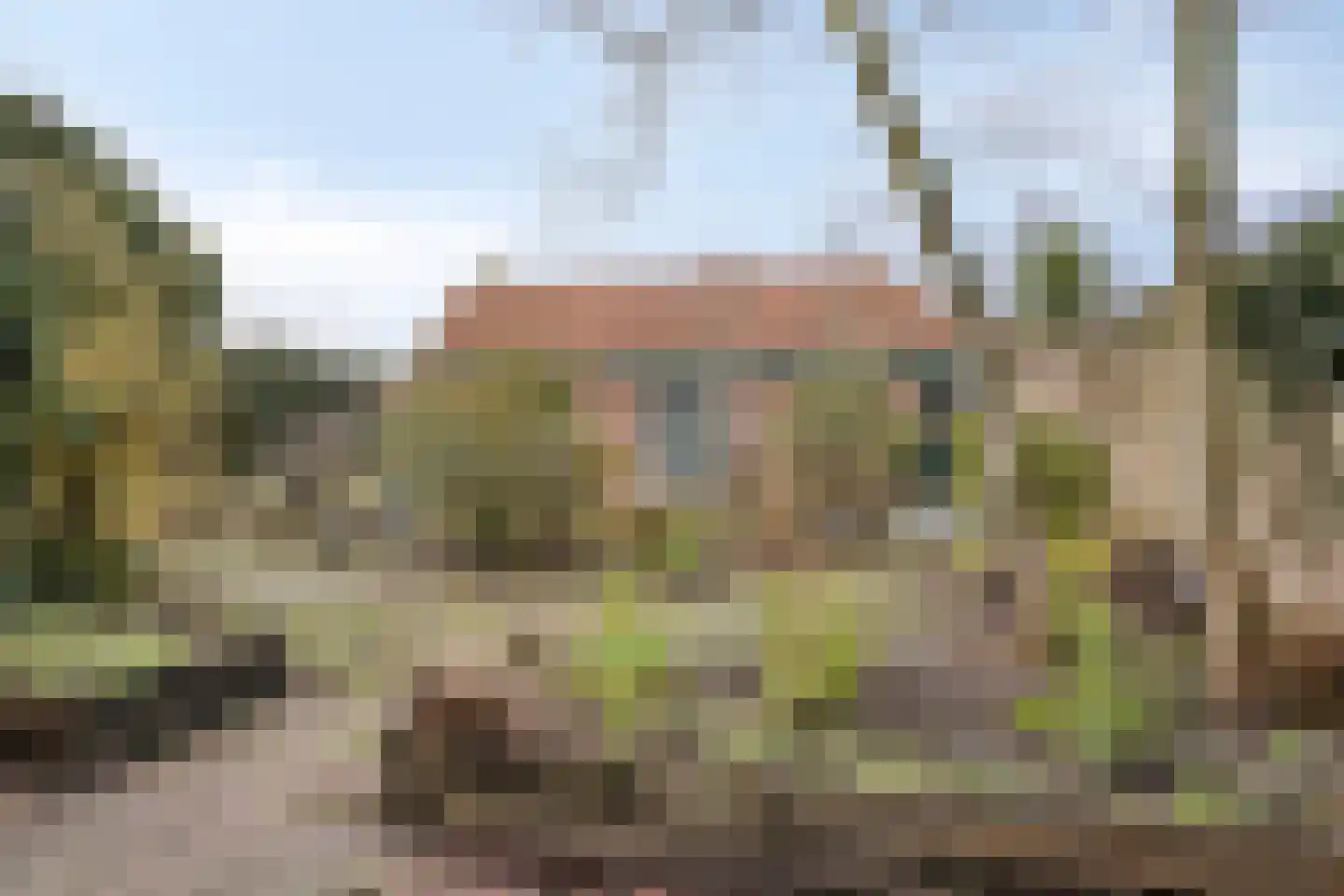Achterhoeksestraat 70 Rucphen thumbnail 41
