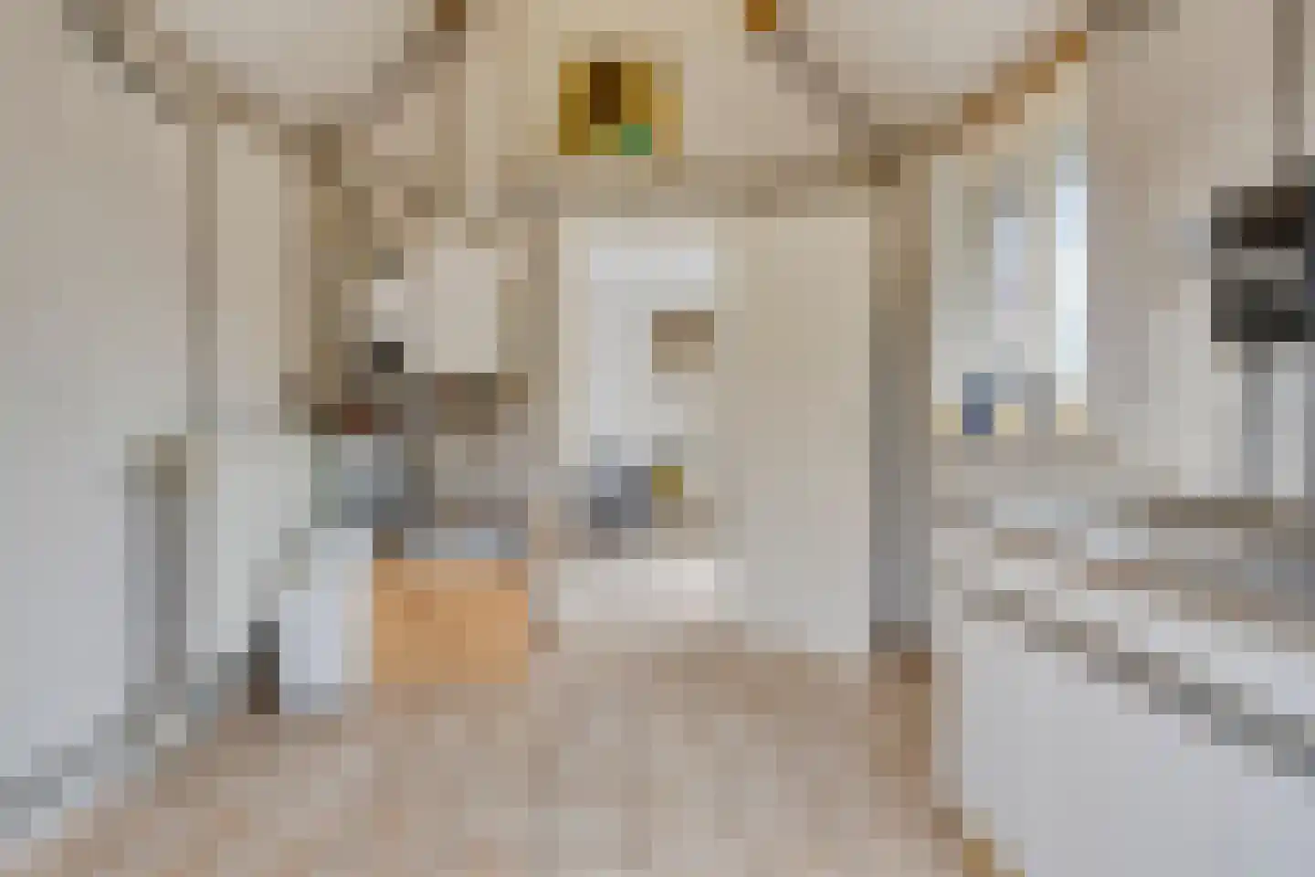 Achterhoeksestraat 70 Rucphen thumbnail 45