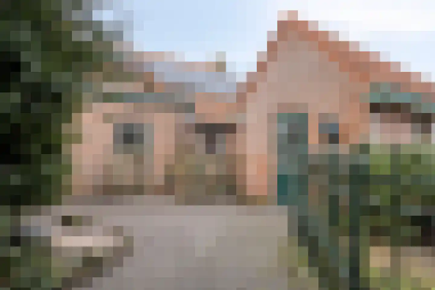 Achterhoeksestraat 70 Rucphen thumbnail 8