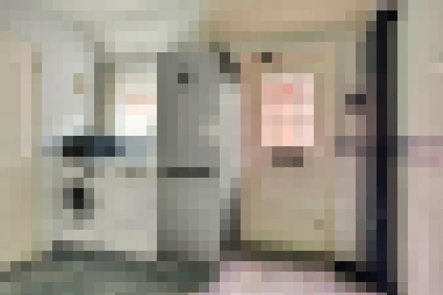 Achterhoeksestraat 70 Rucphen thumbnail 9