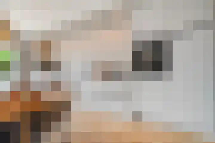 Achterhoekstraat 16 Wesepe thumbnail 18