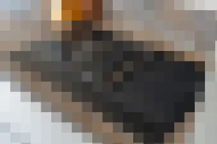 Achterhoekstraat 16 Wesepe thumbnail 22