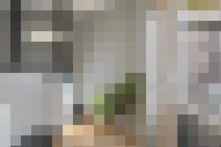 Achterhoekstraat 16 Wesepe thumbnail 24