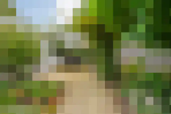 Achterhoekstraat 16 Wesepe thumbnail 41