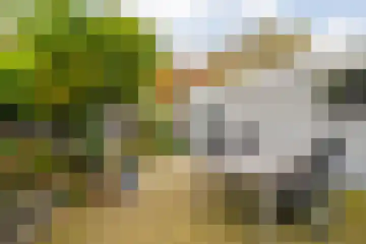 Achterhoekstraat 16 Wesepe thumbnail 43