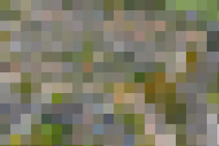 Achterhoekstraat 16 Wesepe thumbnail 7