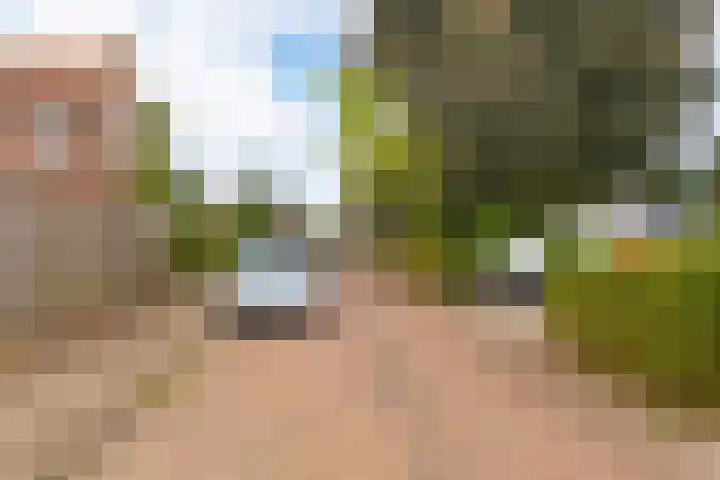 Achterhoekstraat 2 Wesepe thumbnail 22