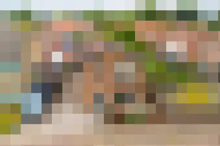 Achterhoekstraat 2 Wesepe thumbnail 4