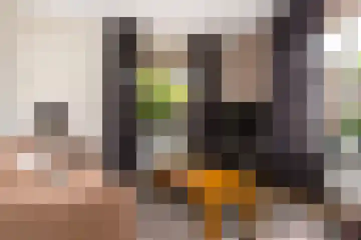 Achterhoekstraat 2 Wesepe thumbnail 7