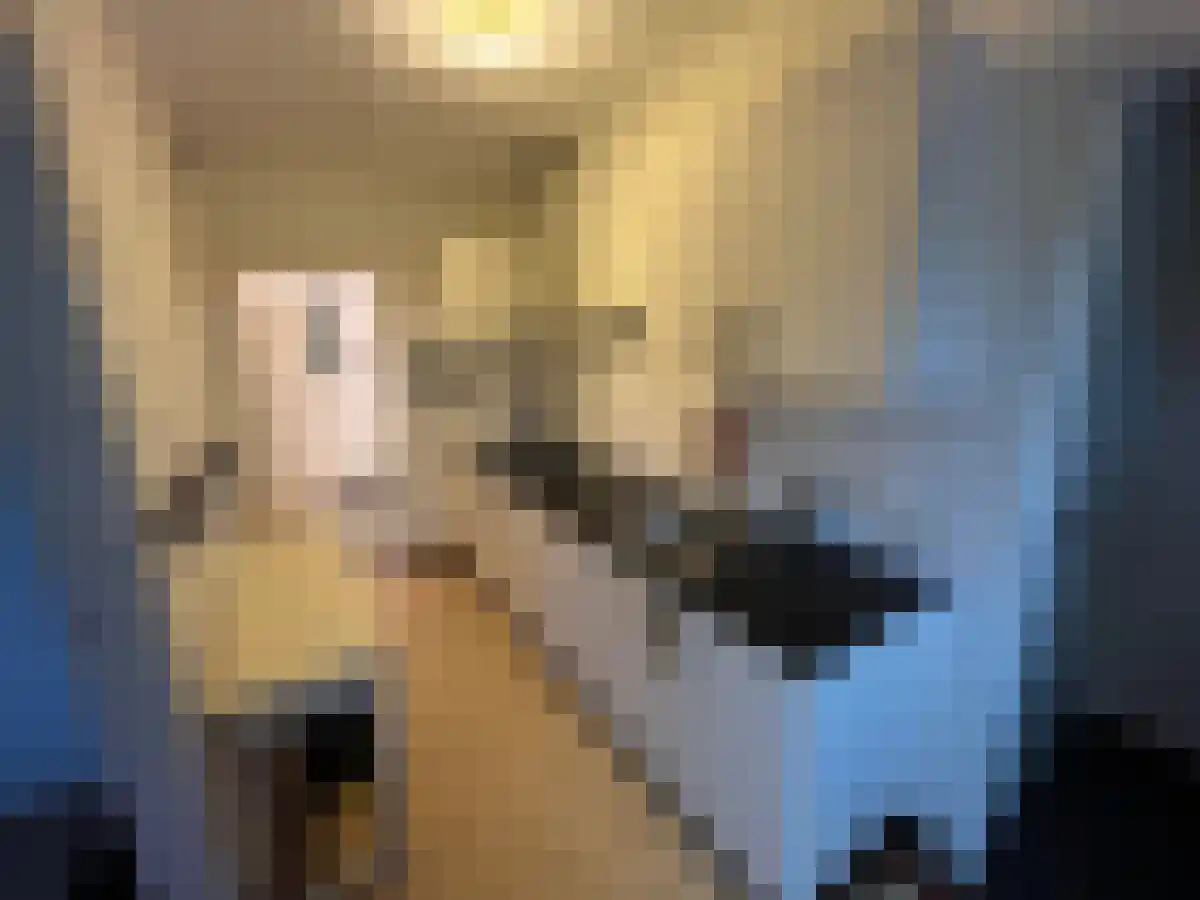 Achterhoeksweg 2 Almelo thumbnail 4