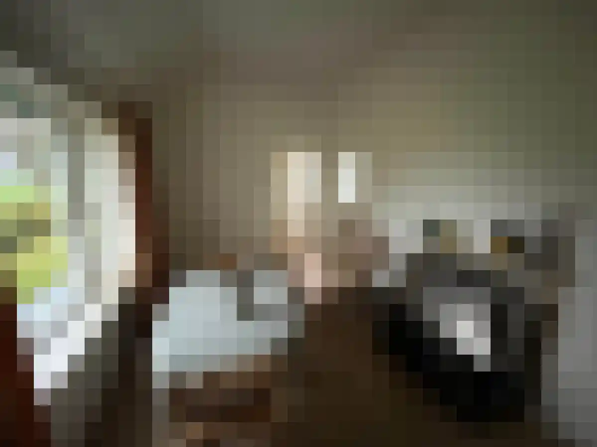 Achterhoeksweg 2 Almelo thumbnail 5