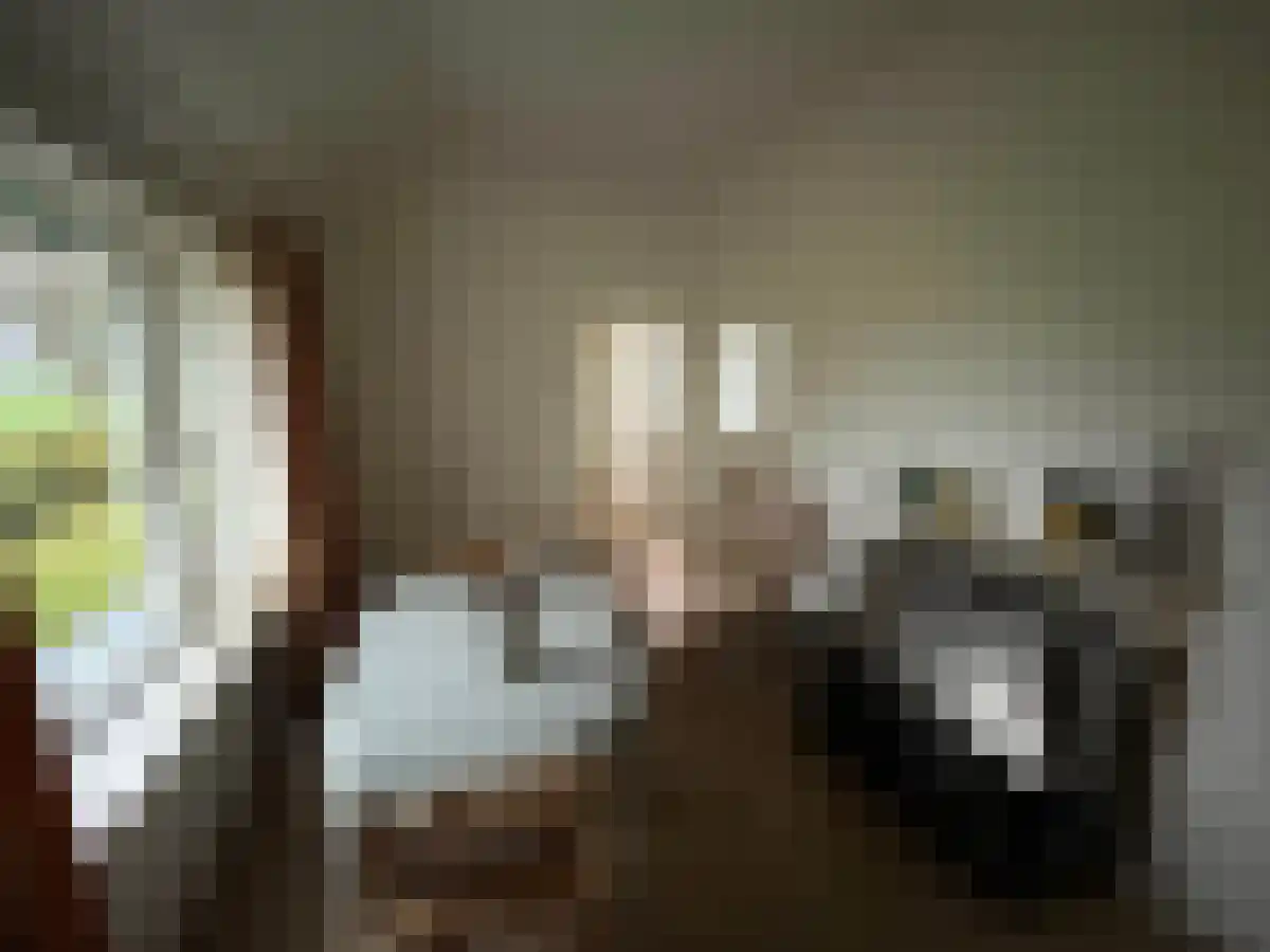 Achterhoeksweg 2 Almelo thumbnail 5